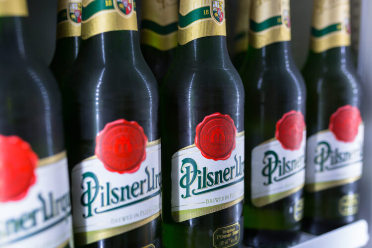 Чешский (Богемский) пилснер описание пива