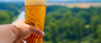 Пиво пилснер (Pilsner) ‒ описание, история, виды, с чем сочетать