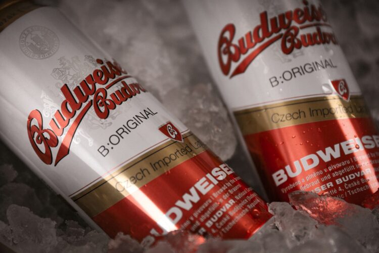Пиво Будвайзер Будвар (Budweiser Budvar): производитель и описание